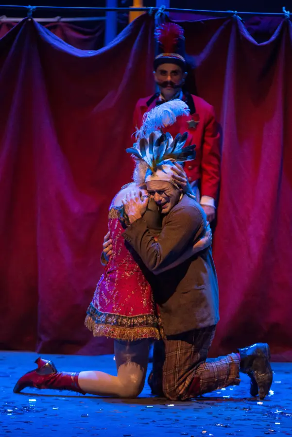 Circo Equestre Squeglia — foto 8