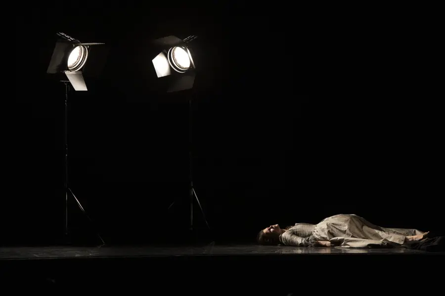 Nella solitudine dei campi di cotone — foto 7